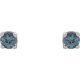 14K White 2.5 mm Natural Aquamarine Earrings
