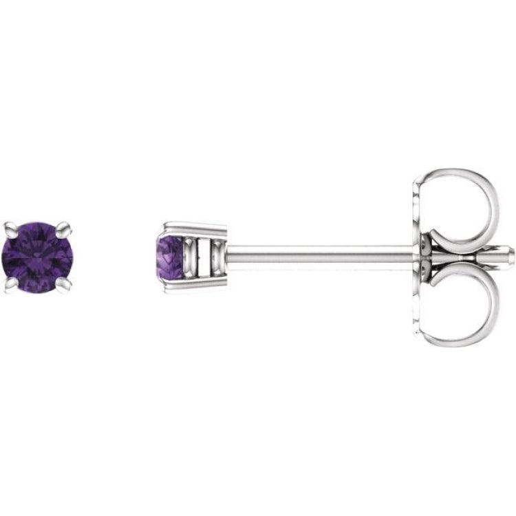 14K White 2.5 mm Natural Amethyst Earrings