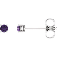 14K White 2.5 mm Natural Amethyst Earrings