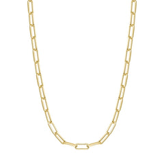 Gold Medium Chain Necklace